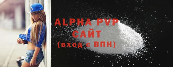 индика Арсеньев