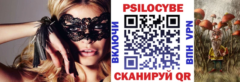 Галлюциногенные грибы Psilocybine cubensis  Наволоки 